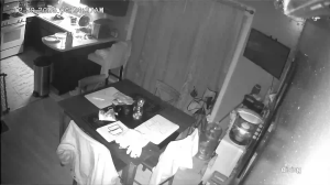 Caméra IP - United States of America