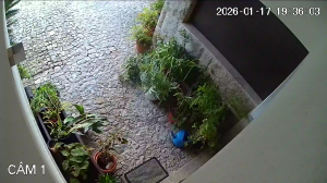 Caméra IP - Portugal