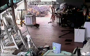 Caméra IP - Australia