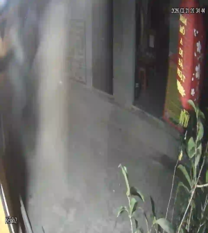 Caméra IP - Vietnam