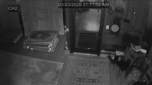 Caméra IP - United States of America