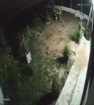 Caméra IP - Paraguay