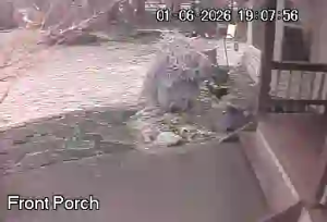 Caméra IP - États-Unis d'Amérique