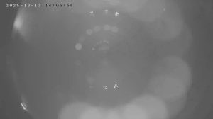 Caméra IP - Russian Federation