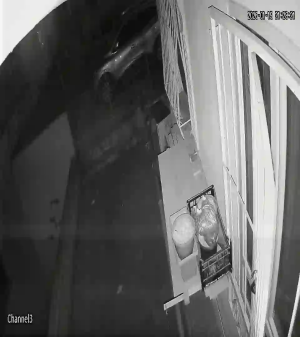 Caméra IP - Türkiye