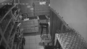 Caméra IP - Mexique