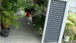 Caméra IP - Australia