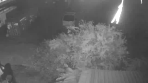 Caméra IP - Barbados