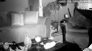 Caméra IP - United States of America