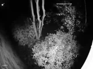 Caméra IP - États-Unis d'Amérique