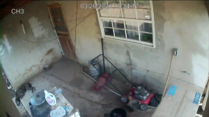 Caméra IP - Curaçao