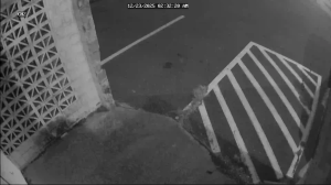 Caméra IP - United States of America