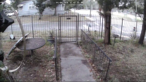 Caméra IP - United States of America