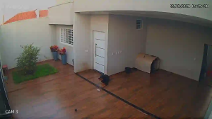 Caméra IP - Brasile