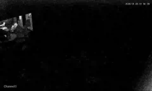 Caméra IP - Malaisie