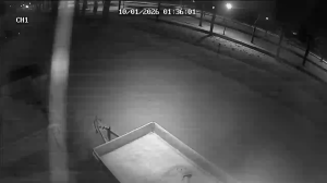 Caméra IP - Paesi Bassi