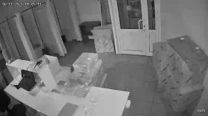 Caméra IP - Russian Federation