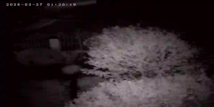 Caméra IP - Niederlande