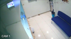 Caméra IP - Hong Kong