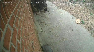 Caméra IP - United States of America