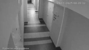 Caméra IP - Vue en direct