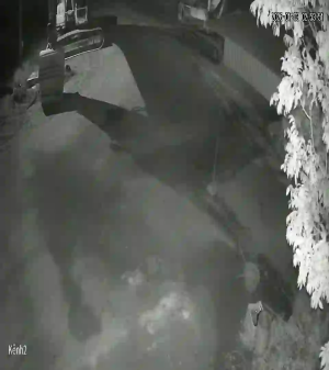 Caméra IP - Vietnam