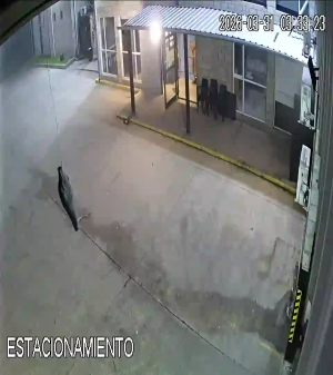 Caméra IP - Argentine