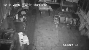 Caméra IP - China