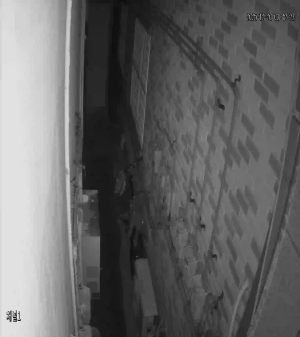 Caméra IP - República de Corea