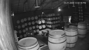 Caméra IP - États-Unis d'Amérique