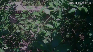 Caméra IP - Paraguay