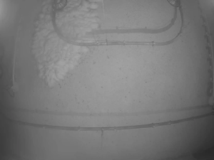 Caméra IP - South Korea