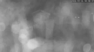 Caméra IP - Pays-Bas