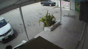 Caméra IP - Curaçao