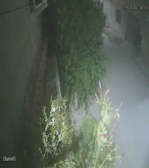 Caméra IP - Algérie