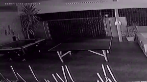 Caméra IP - Denmark