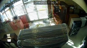 Caméra IP - Stati Uniti d'America