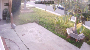 Caméra IP - États-Unis d'Amérique