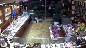 Caméra IP - South Korea