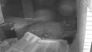 Caméra IP - Belgium