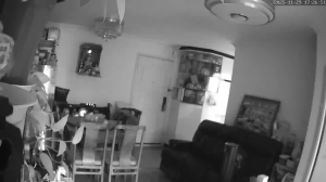 Caméra IP - Hong Kong