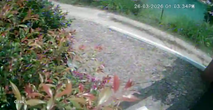 Caméra IP - Colombia