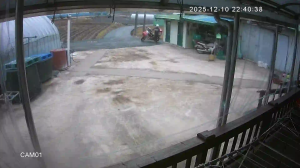 Caméra IP - South Korea