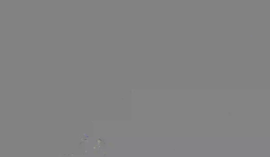 Caméra IP - Netherlands