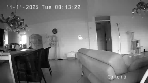 Caméra IP - Netherlands