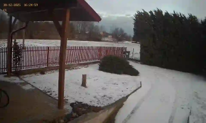 Caméra IP - Polonia