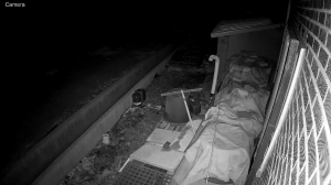 Caméra IP - República de Corea