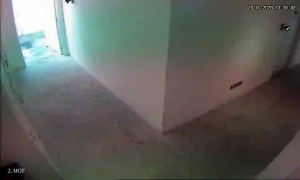 Caméra IP - Singapur