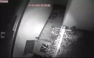 Caméra IP - Germany