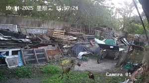 Caméra IP - Cina
